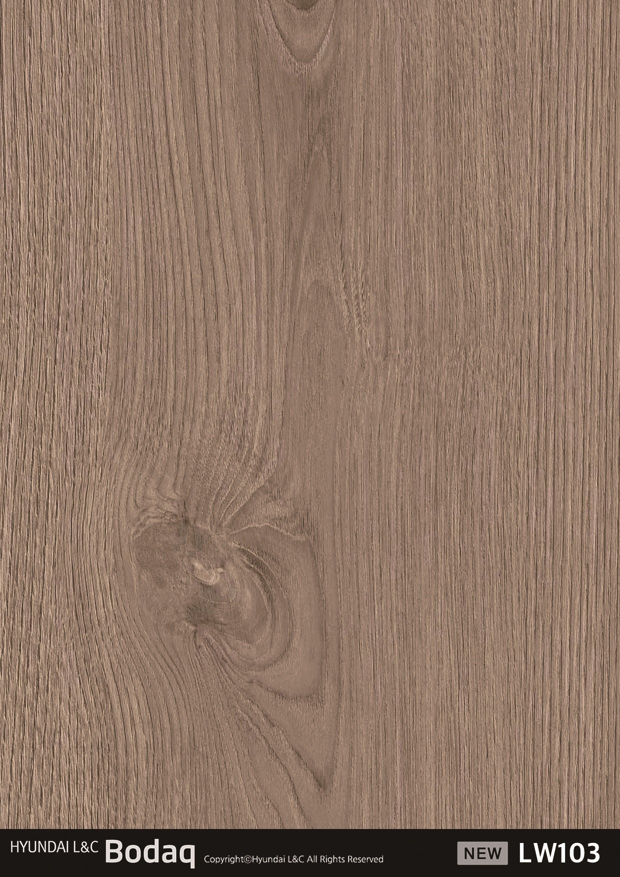 LW103 Ashwood Denver Oak Interior Film – Wood Collection